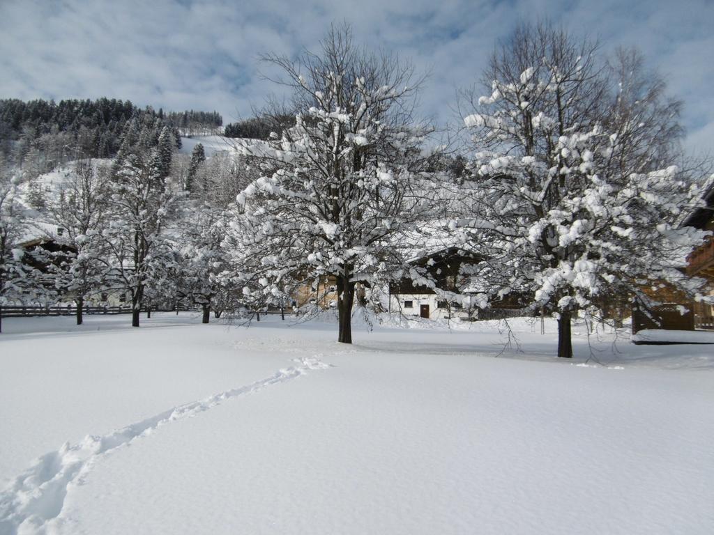 Appartements Oberhof Ваграйн Екстериор снимка